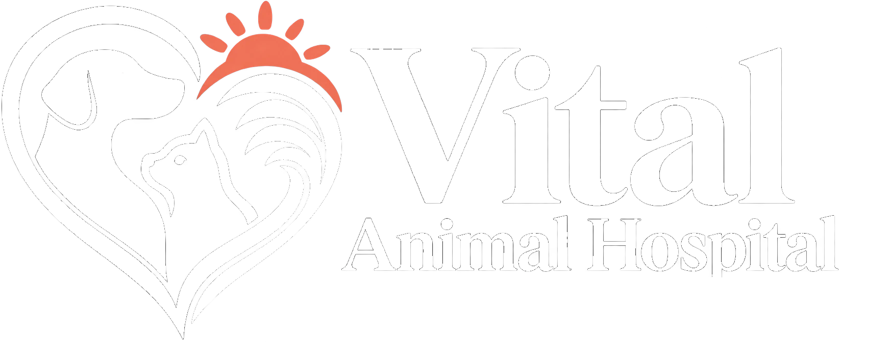 Vital Animal Hospital